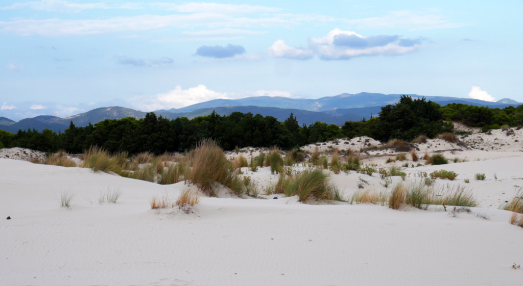 zdjęcie Sardynia - plaża z wydmami w Porto Pino