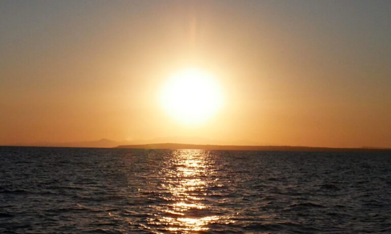 Zdjęcie - zachód słońca - wdzięczność