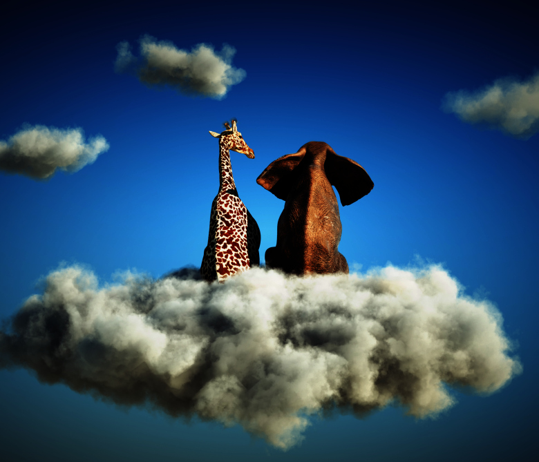 grafika ADHD i marzenia